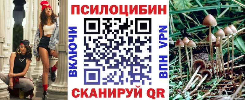купить Могоча ОМГ ОМГ ссылки Псилоцибиновые грибы Cubensis