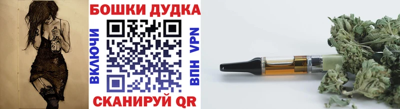 Канабис конопля  купить закладку  Могоча 